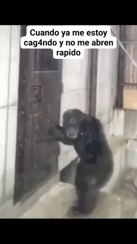 #viralvideos #viraltiktok #virall #viral_video #todoelmundo #comedia #comedian 