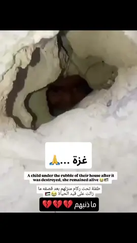 #نايف_الهاجري‬ ‫#شامل_نيوز‬ ‫#اخبار‬ ‫#سناب_شات‬ ‫#اكسبلور_سناب‬ ‫#الاضواء_سناب‬ ‫#الكويت‬ ‫#السعودية‬ ‫#الرياض‬ ‫#مصر‬ ‫#ضحك‬ ‫#جوائز‬ ‫#الرياض_الان‬ ‫#جدة_الأن‬  #التيك_توك_العالم_العربي #الترند #ال #الشعب_الصيني_ماله_حل😂😂 #اكسبلور 