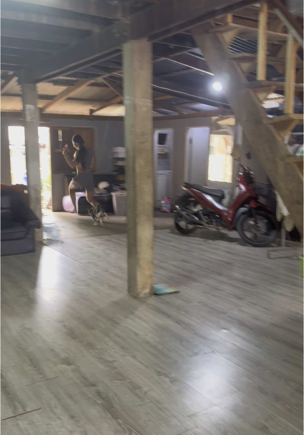 มึงไปเป็นแมววัดเลย😩