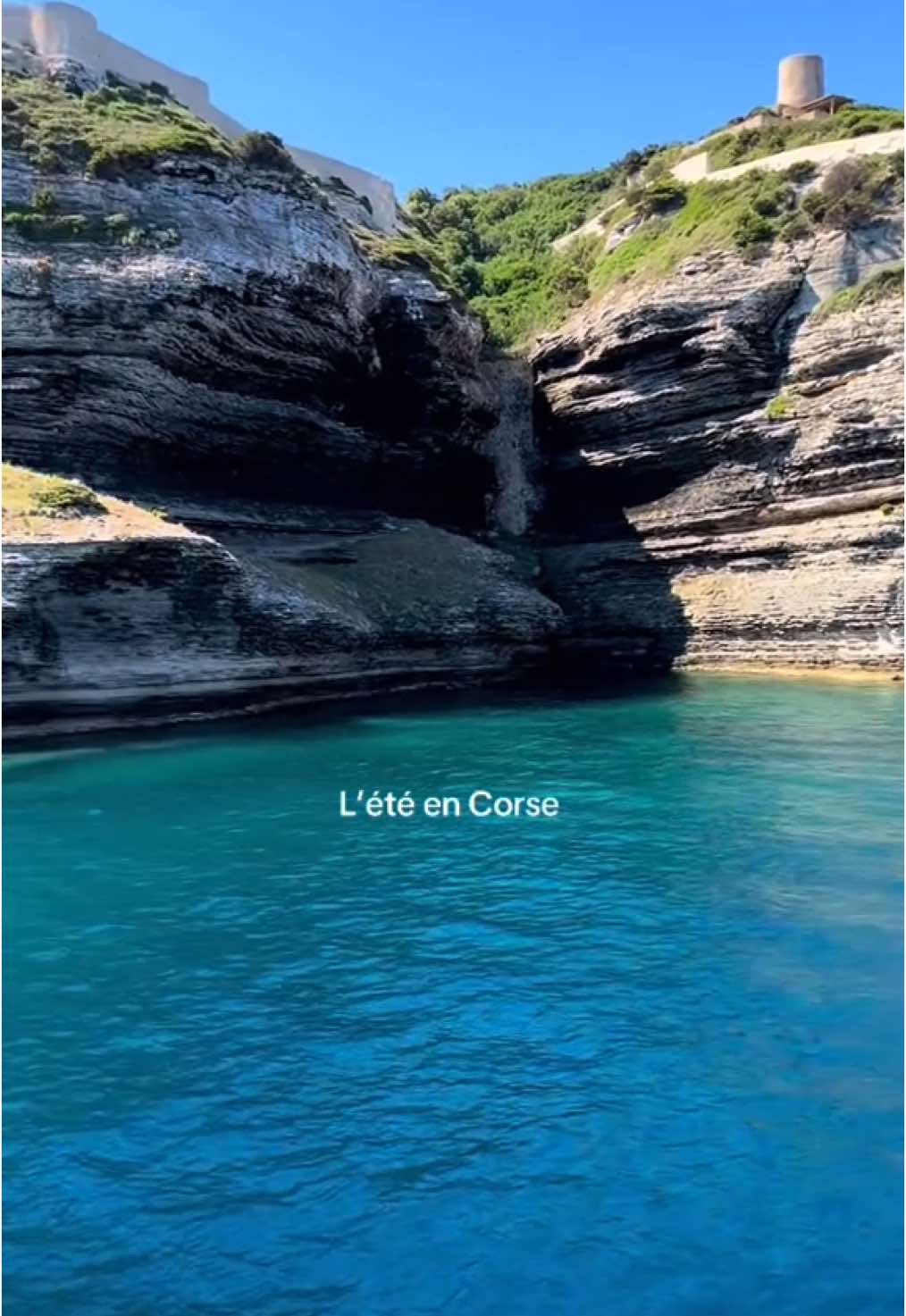☀️🐟🦞 #ete #corse #fyp #pourtoi 