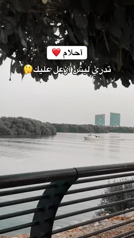 #تدري_ليش_ازعل_عليك #احلام #احلام_الشامسي #طرب #مالي_خلق_احط_هاشتاقات 