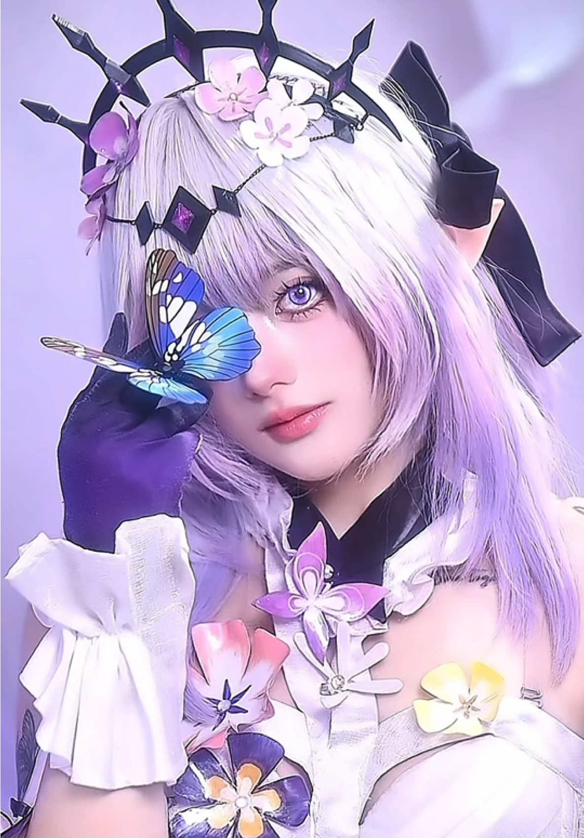 Castorice 🦋🤍 #HSR2Year #LễKỷNiệmStarRail #HSRwatchpartyVietnam #Castorice