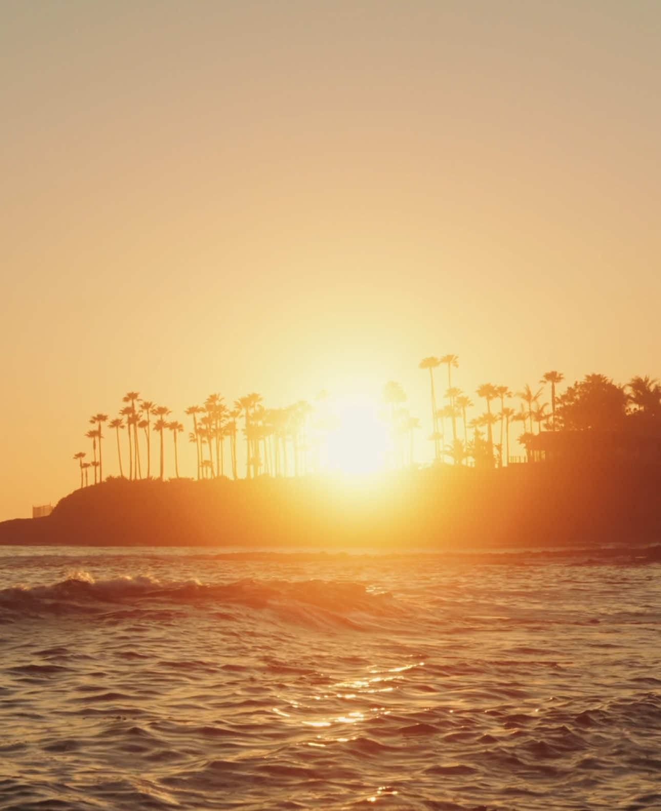 Summer preview 🤞#cinematography #cinematic #colorgrading #sonyalpha #Summer #beach #filmtok 