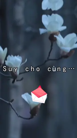 #kỷ niệm xưa #HuE #cuocsong #tamtrang #tamtrang_camxuc # Suy cho cùng bầu trời nào trả có  bão giông ❤️☘️