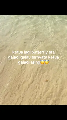 🙏🏻🙏🏻🥰#4u #fyppppppppppppppppppppppp #antigalaugalau #antiasing 