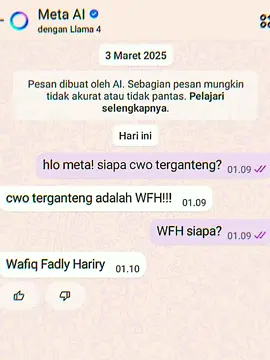 meta aj tau @fadlyhariry 😶🤏 #fyp #wafiqfadlyhariry #hibbunnabi #dalwabaalawi #foryou 