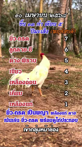 ตำราดี สีไก่ ยิ่ว-กรด เป็นพญา 10-04 #ตำราสีไก่ #สีไก่ #ไก่ใต้ไก่เดือย🐓💯  #อนุรักษ์ไก่ใต้🐓  #ไก่ใต้  #ไก่เดือย  #สีไก่วันนี้ #ไก่เดือยภาคใต้ #ราชาไก่เดือย 