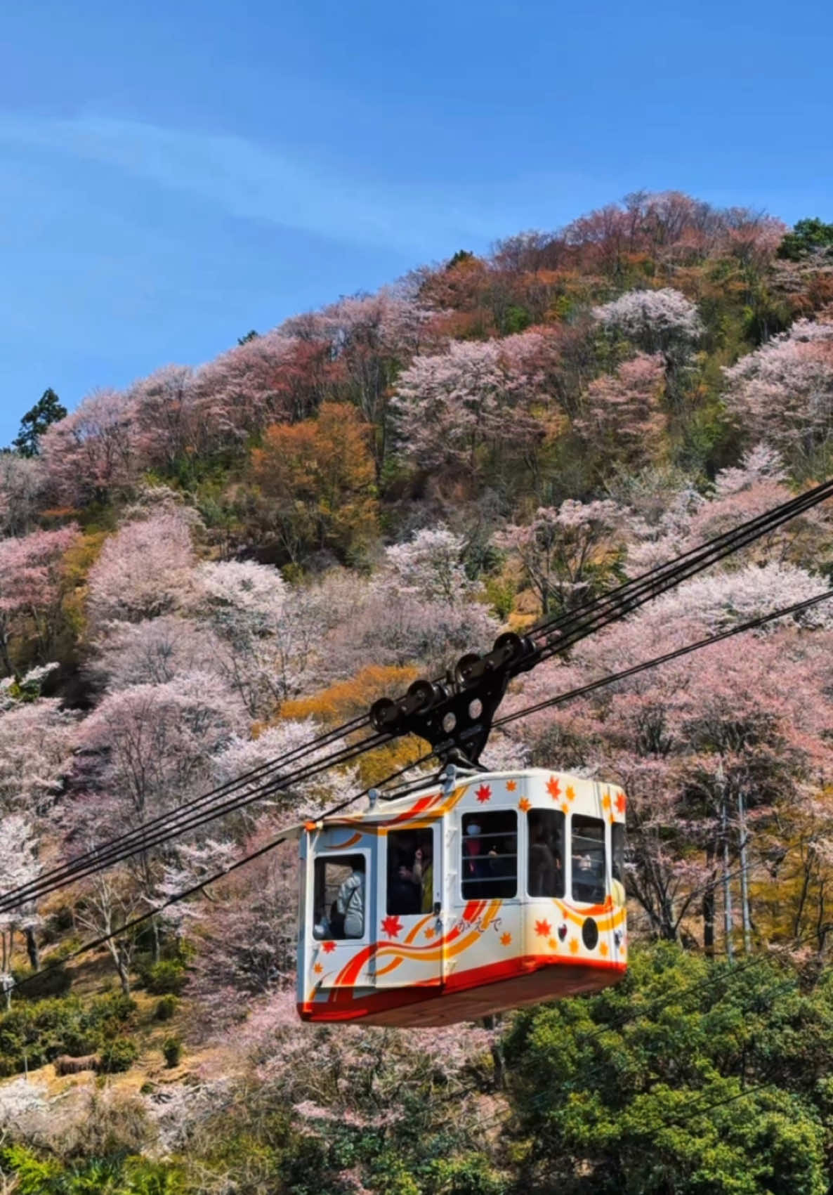 Mt Yoshino Ropeway🌸🇯🇵 #yoshinoya  #yoshino #吉野山 