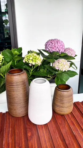 Bình dáng đu đủ-Chiếc bình cắm cả thế giới #trangtrinhacua #trangtritet #camhoa #binhcamhoa #binhhoatrangtri #binhhoa #gomsubattrang #shophoavinhcuuhuyenle 