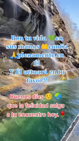 Buenos días, feliz y bendecido miércoles ⚛️🔯 #felizmiercoles 🙌🥰 #bendiciones🌹❤️🙌🏻🙌🏻🙏 #reflexionesdevida👌👌❣️✨ #reelsfypシ2024 #lyricsvideos #Recuerdos 