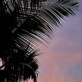 sereal Boba #memes #jokes #jokess #meme #fyp #fypage #fyppppppppppppppppppppppp #fypシ゚ #arab 