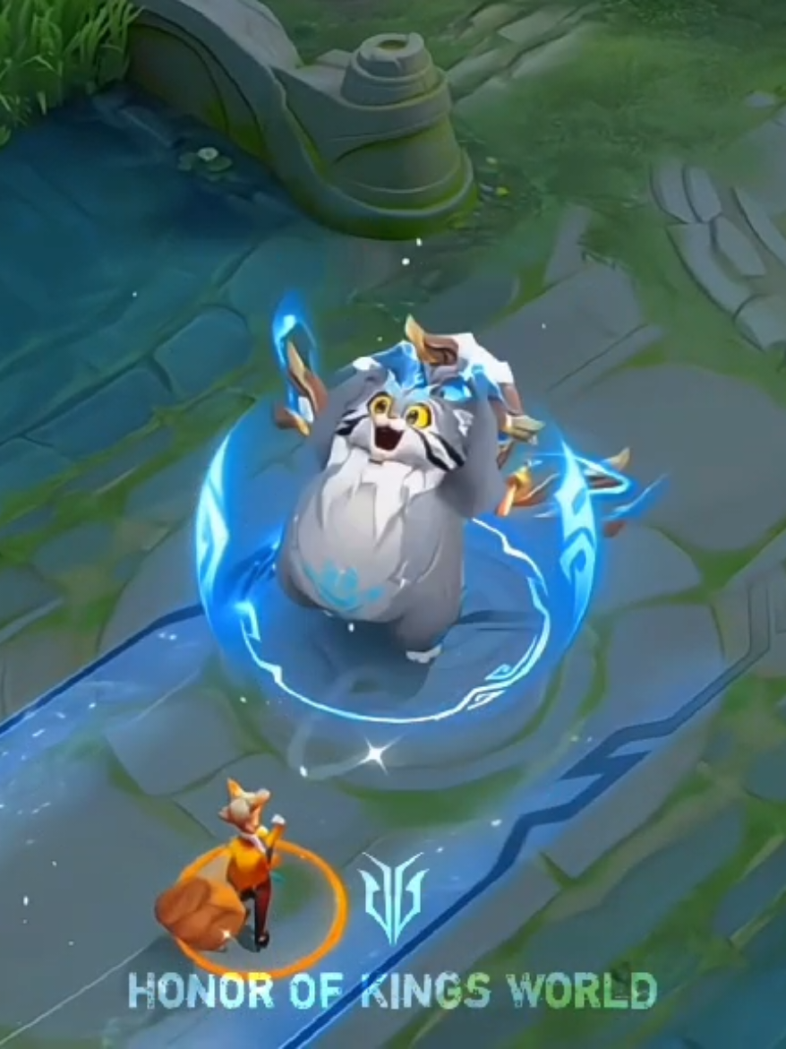 Zhang Fei Transforms into a Cute Fat Cat. Support Me 50K Followers.  #hok #honorofkings #hokglobal #honorofkingsglobal #honorofkingsworld  #hokglobal #highlights #highlight #gameplay  #kingofglory #hokstudio #hokcreator #王者荣耀 #aov #arenaofvalor #rov #lienquanmobile #rovthailand  #lienquanmobile_garena #liênquânmobile #lienquan #liênquân #vuonggiavinhdieu #vươnggiảvinhdiệu 