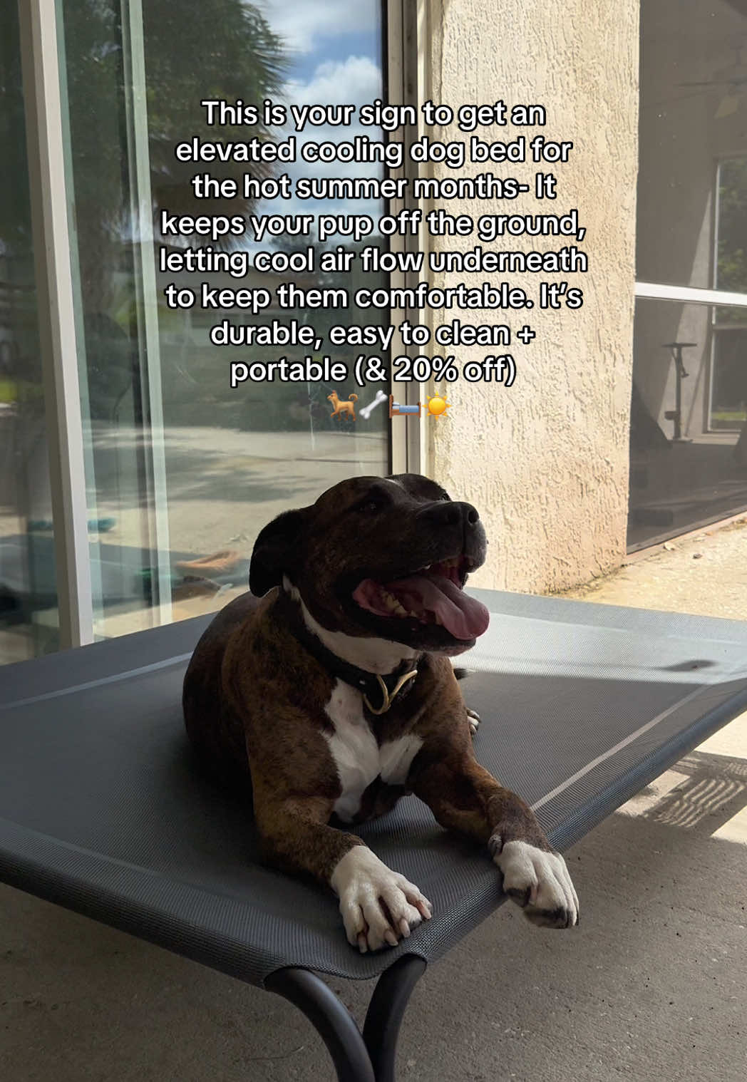 Free shipping & returns (I got the XL for $39.98) ☀️🌬️🐕‍🦺🐾🦴 from @Valuxe.us #dogbed #petessentials #summeressentials #dogmomlife #dogtok #flashsaletiktok 