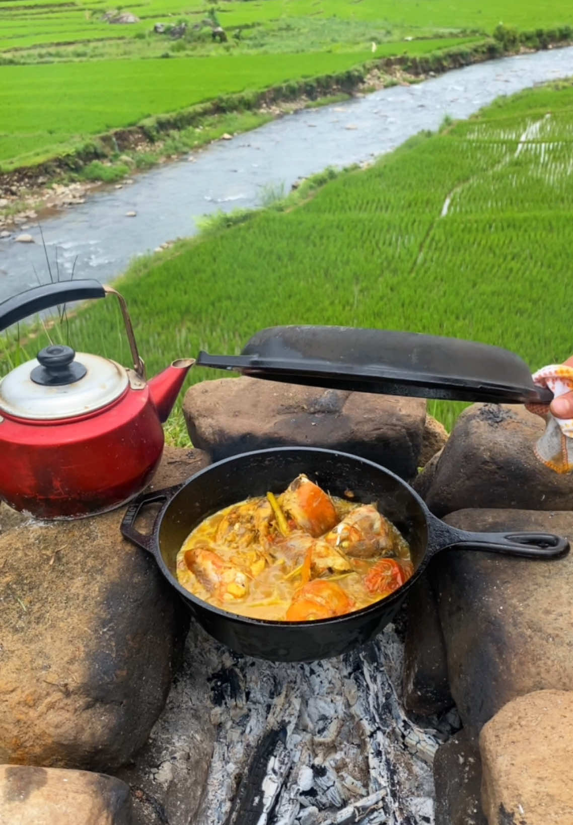 Ikan Palumara Khas Makassar sama Nasi Liwet   Full petualangan di Youtube 😉 . 🏕️ 📍@Kabutipiscampsite  . #nature #campfire #naturelovers #cooking #fyp #indonesia #fyp #asmr #instagram #campingfood #makassar 
