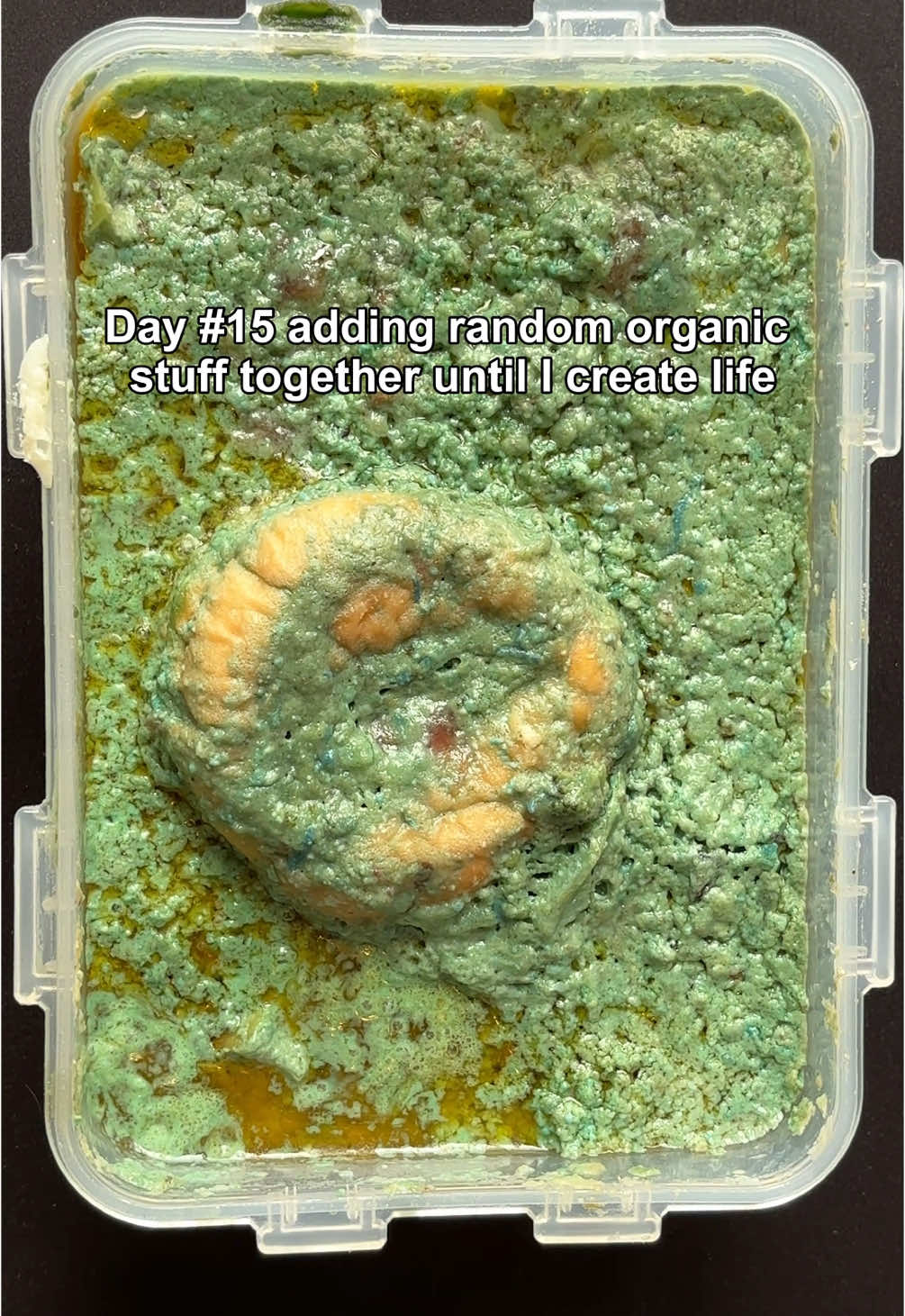 Sourghdough starter Next ?🧐👀 #experiment #fyp #bowl #foryoupage❤️❤️ #community #viral_video 