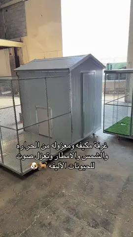 #fyp #سكوتش_فولد #pet #pets #doberman #foryou #الشعب_الصيني_ماله_حل😂😂 #الخبر #الرياض #الشرقيه #جدة #هاسكي #