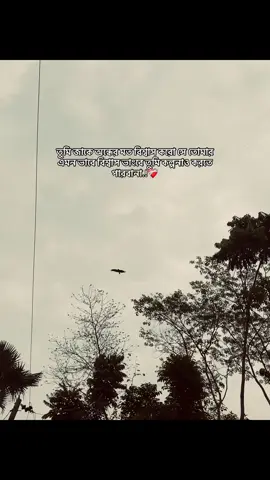 তুমি জাকে অন্ধের মত বিশ্বাস করো সে তোমার এমন ভাবে বিশ্বাস ভাংবে তুমি কল্পনাও করতে পারবানা.!❤️‍🩹#trending #foryou #viralvideo #fypシ゚ #viewsproblem #1millionaudition #foryoupageofficiall #unfrezzmyaccount @TikTok @#foryou @TikTok Bangladesh 