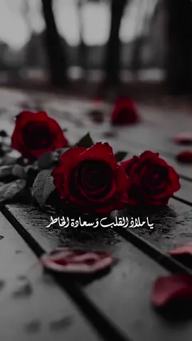 #مسائي_انت_بكل_تفاصيلك❤ 