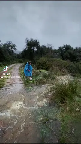 Sí, familia soy una patosa jajajaj ##livegift##interstellar##viral_videos##paratí##trendingvideo##livegifts##livegifts##monedastiktok##isladelastentaciones##foruyou