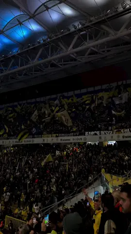 buda bizim rüyamız#fenerbahçe 