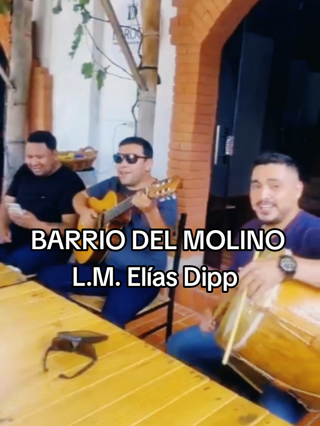 BARRIO DEL MOLINO - L.M. Elías Dipp  @Trovas de Tarija  #marcoserrudo  #folkloretarija  #folklore  #cuecabarriodelmolino