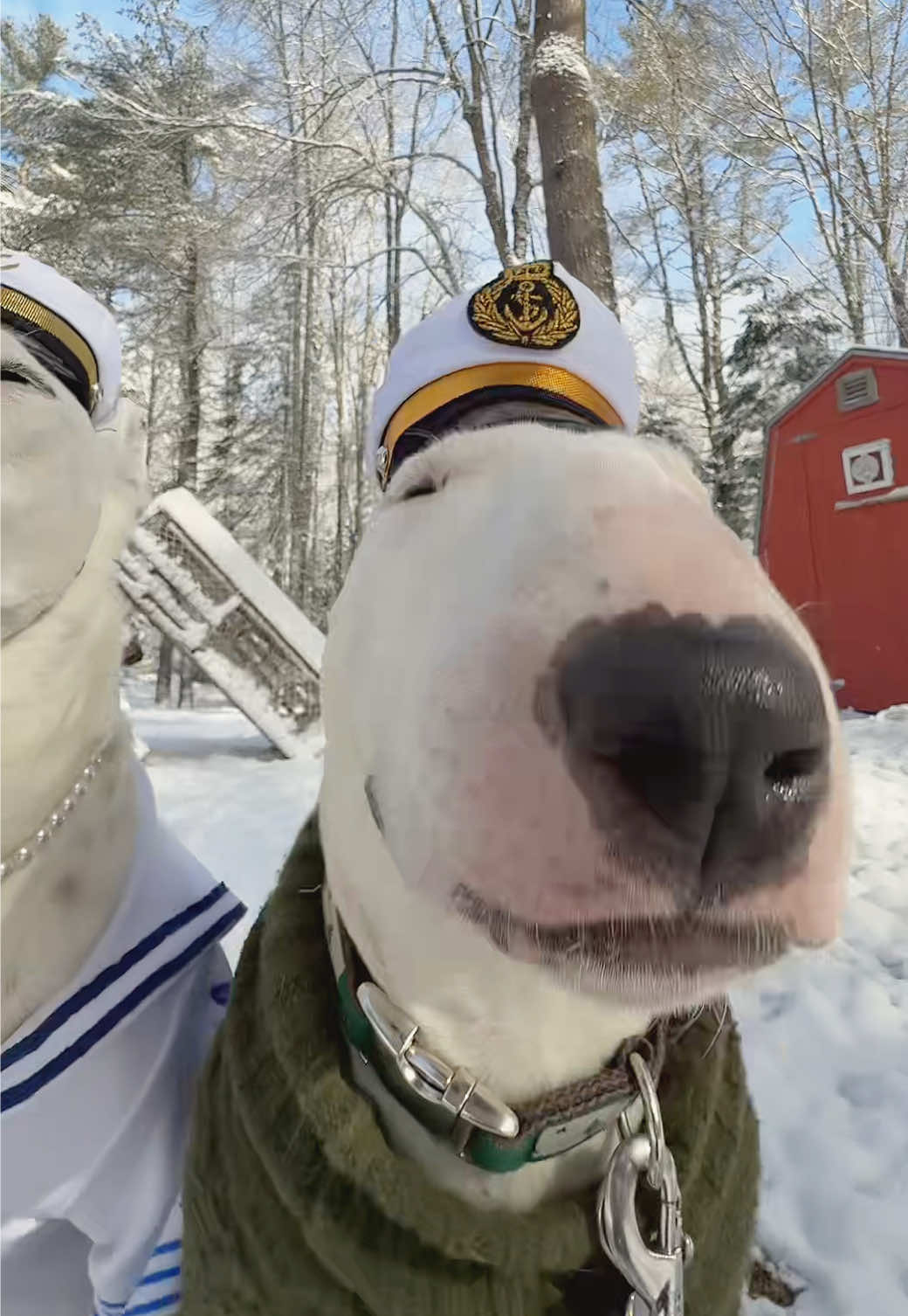 Snow won’t stop them going to the liqa sto #snow #maine #aprilsnow #mainecheck #snowday #meme #funny 