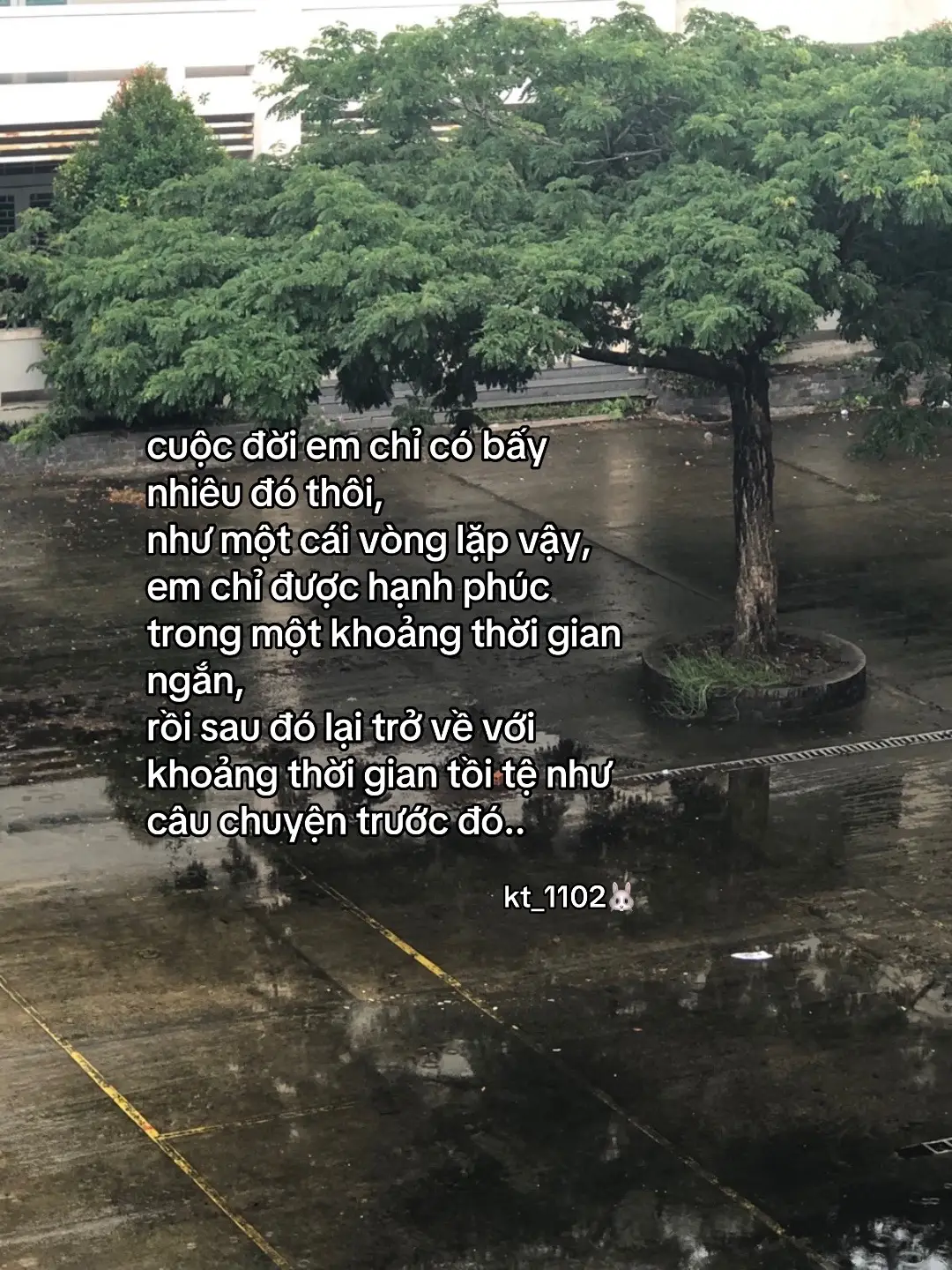 #xuhuong #xuhuongtiktok #xhtiktok #fyp #kt_1102🐰 