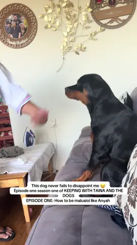 sometimes i feel sorry for not giving my mum actual grandbabies that she talks like this to the dogs 🥲 #doglife #polymum #tongantiktok 