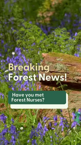 You've seen them, but do you know what they are? #ForestNews 