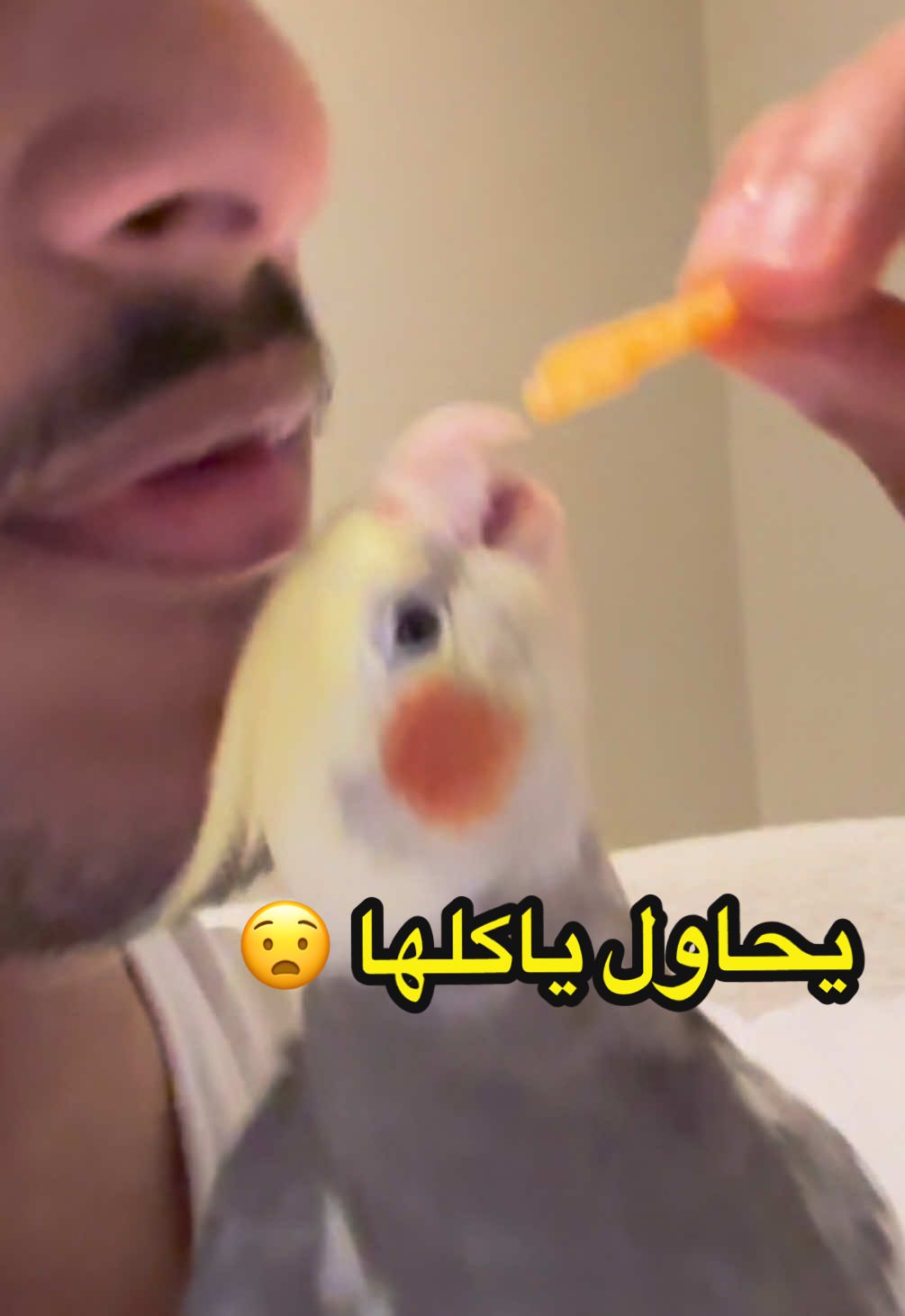 البطاطس سام لهم وش اسوي هههههههه #كروان #cocktail #اكسبلورexplore 