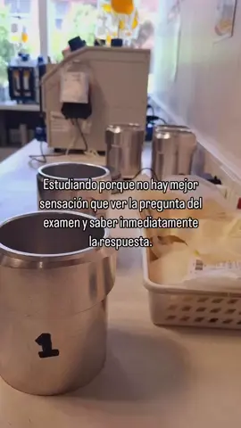 Todo sacrificio tiene su recompensa ✨💡 #medicina  #anatomia  #universidad  #apuntesbonitos