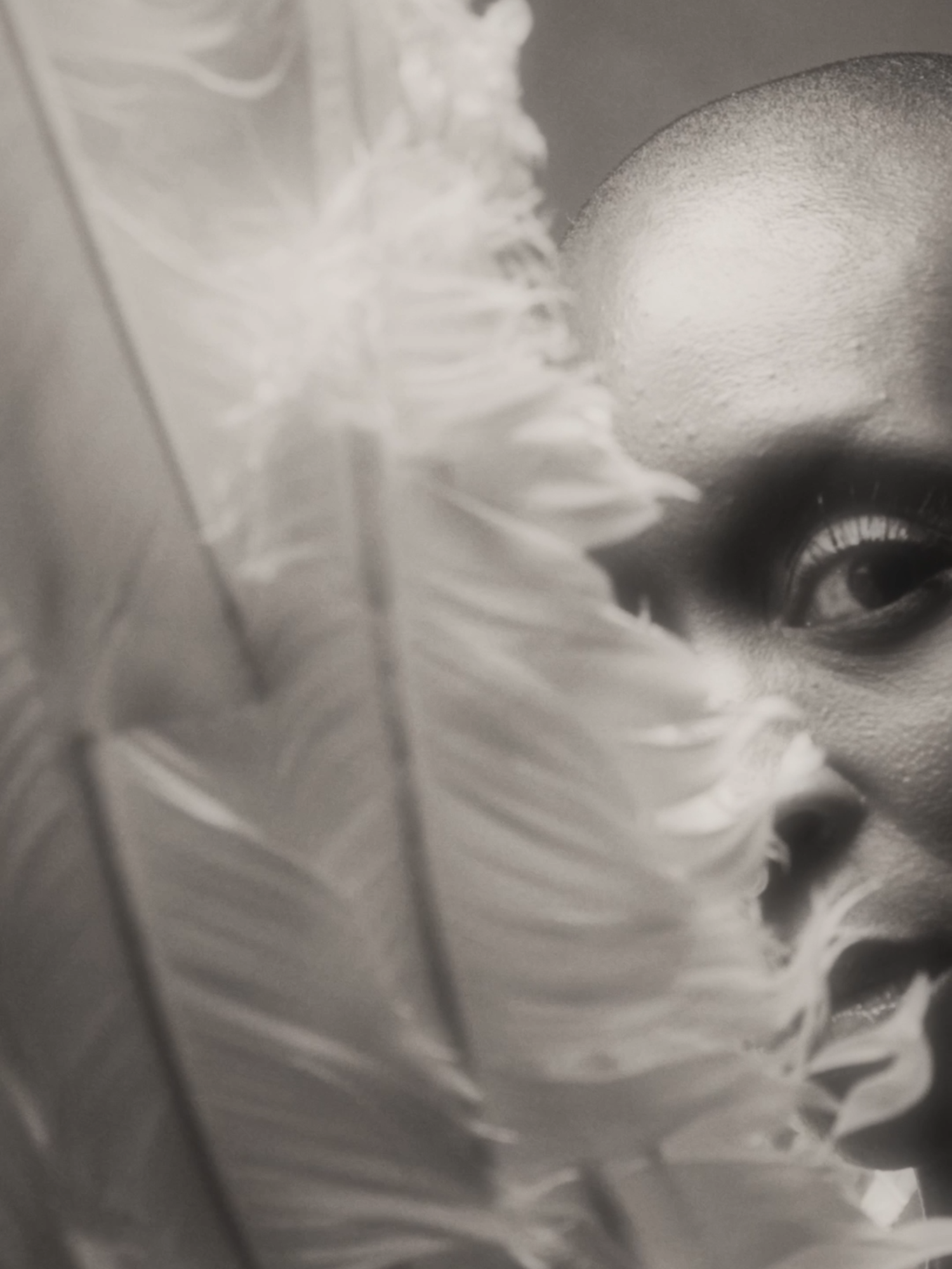 🤍🕊️ Tomorrow   5AM PT / 1PM BST