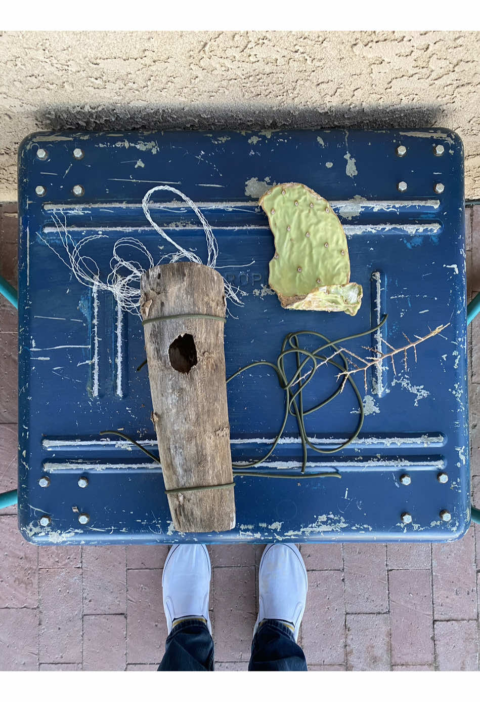 Check out the bird house I made from different plants at Soma House! 1) Old dried Yucca stock 2) Fallen cactus leaf 3) thorns from some evil bush (as nails & and perch). The 550 cord did not grow at SH but I’m not Bear Grills and can’t make rope quite yet. 😅 I think I’m going to keep making these, it was kinda fun. Who needs a bird house??  #somahouse #somahousejt #desert #spirituality #pranayama #art #explorepage #kundalini #kundaliniyoga #landscape #joshuatree #yuccavalley #morongovalley #highdesert #yoga #yogi #breathwork #soundbath #soundhealing #vibes #airbnb #yogaretreat #soma #bird #birds #birdhouse #DIY #crafty #handmade 