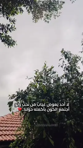 لا أحد يُعوض غيَاب مَن نُحب ولو  أجتمع الكَون بأكمله حولِنا..💔🕊️#طمون_طوباس_جنين🤍📍 #مليش_خلق_احط_هاشتاغات🙂 #الشعب_الصيني_ماله_حل😂😂 #تصميم_فيديوهات🎶🎤🎬 