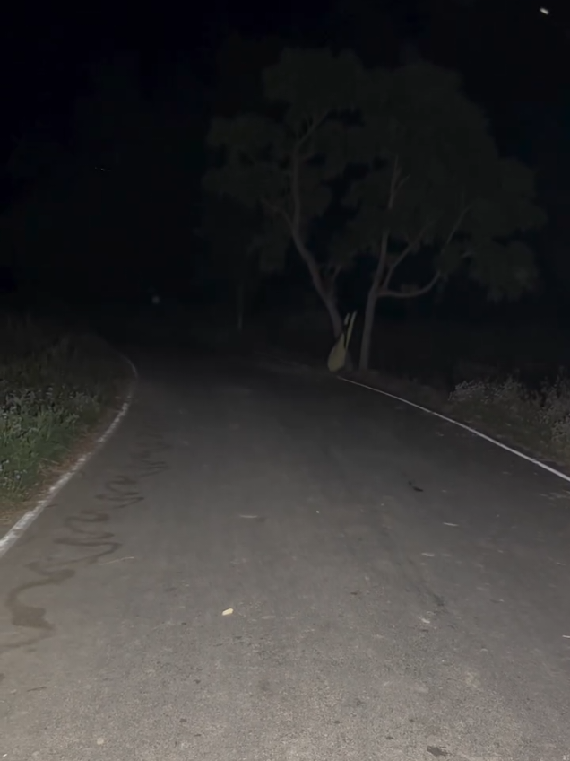 Scary haunted Road . 😱  #horror #creepy #Scary #hauntedroad #paranormalactivity #paranormal #👻 