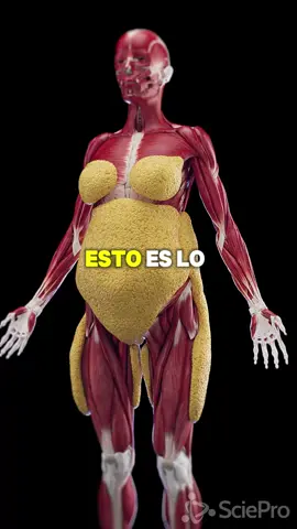 Esto es lo que le pasará a una mujer si toma jugo de piña 🍍 todos los días 😱 #jugosnaturales #piña #jugosdepiña #jugossaludables #salud 