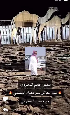 #غانم_الحبردي #اكسبلور #عطايا_الله🐪 