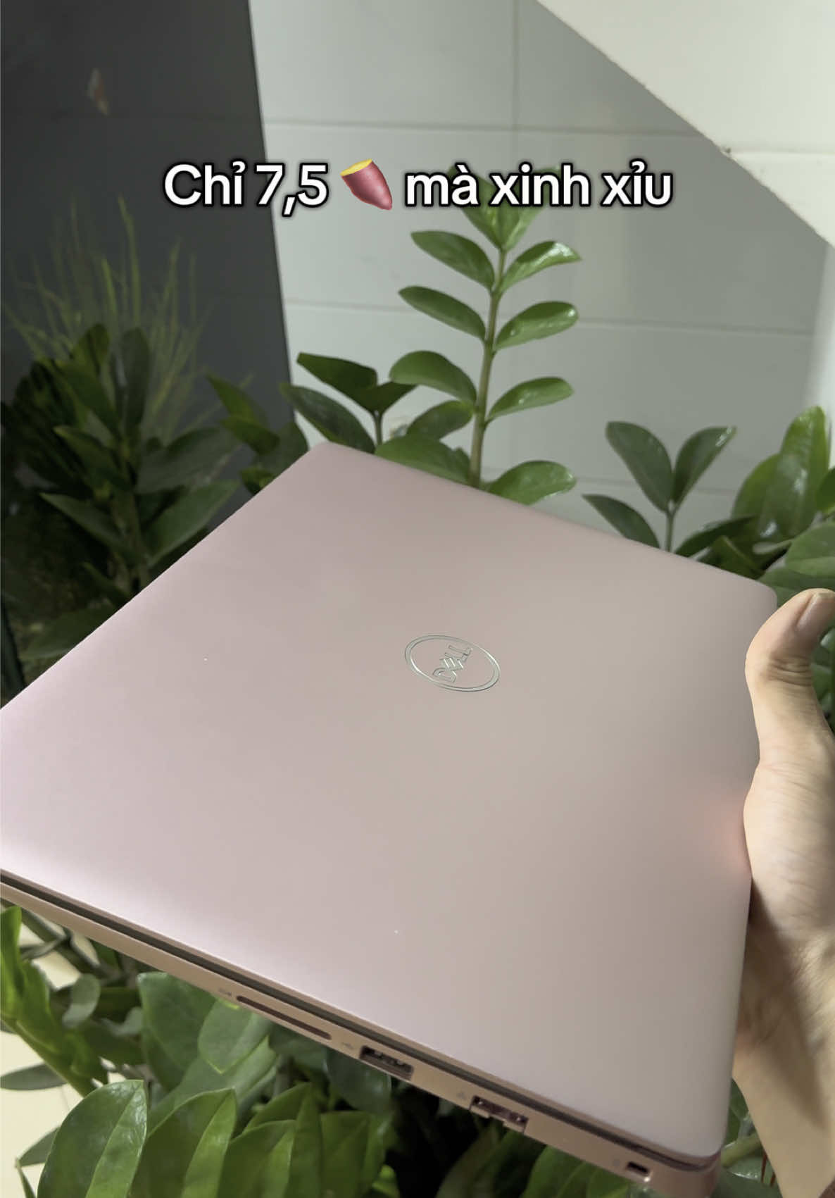 Inspiron 5488 Màu hồng mỏng nhẹ mới 99% giá hơn 7đ #laptop #inspiron #reviewlaptop #laptopsinhvien #laptopvanphong #laptopgiare 