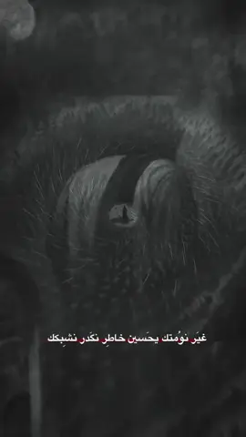#غير نومتك يحسين خاطر نكدر نشبكك #ياحسين  #الحسين_ثورة_خالده  #يازينب 