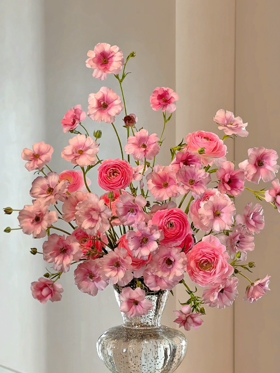 Nice day! #flowers #beautiful #beautifulflowers 