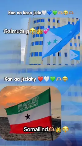ovvv💋💕#somaliland #galmudugnimo💙🤍💚 #ciyaalxamar #Neha @Mazkinyyyy💕🫶🏼😭😍 
