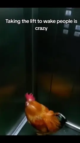 #meme #foryou #memes #fypシ゚viral #fypage #fypシ 