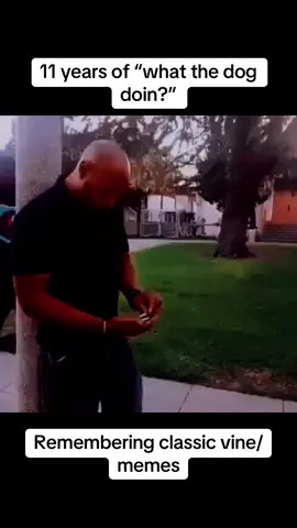 #CapCut Memes That Bring Back the Good Old Days #oldmemes #funnyvideos #nostalgia #viralmemes, #classicvines #whatthedogdoin 
