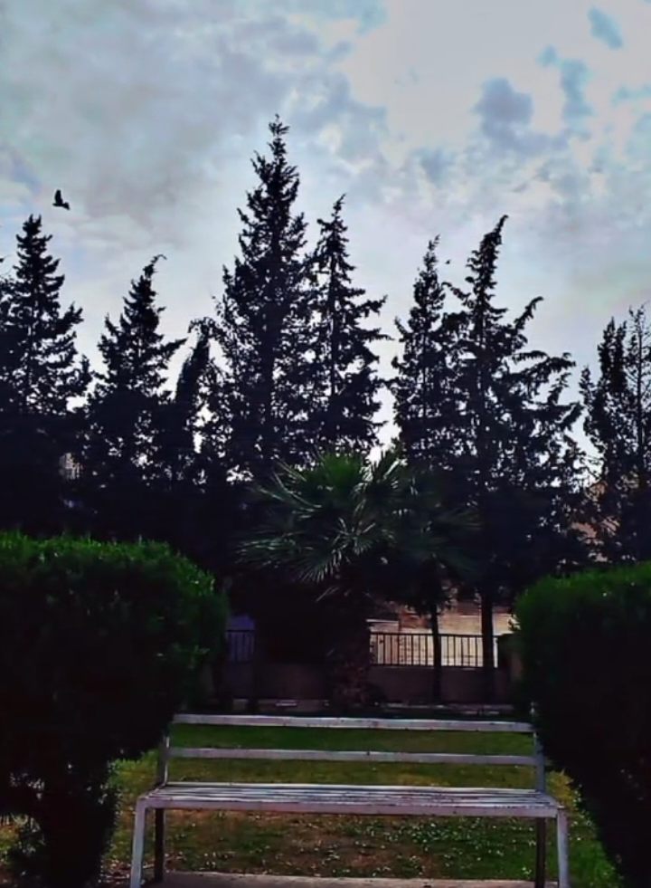 لن يشعرو بأهمية حضورك الا عندما تغيب ✨🖤  . .  . #fyp #viralvideo #اخر_اشي_نسختو💭🥀 #fypシ゚viral #عامر_الخوذيري #fypシ #معلقين_كرة_القدم #محضور_من_الاكسلبلوو #ستوريات #capcut 