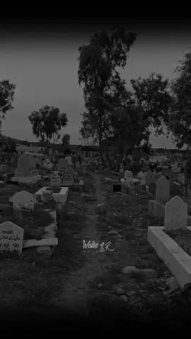 #zaxo_duhok_hewler_slemani_hawler #🔥 #zaxo #duhok #kurdistan #viral #fyp #foryou 