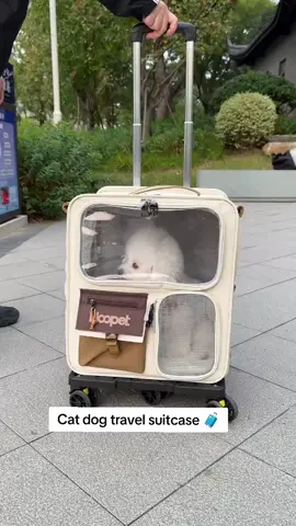 #dogtravel #dogcarrier #catcarrier #suitcase #pettrolley 
