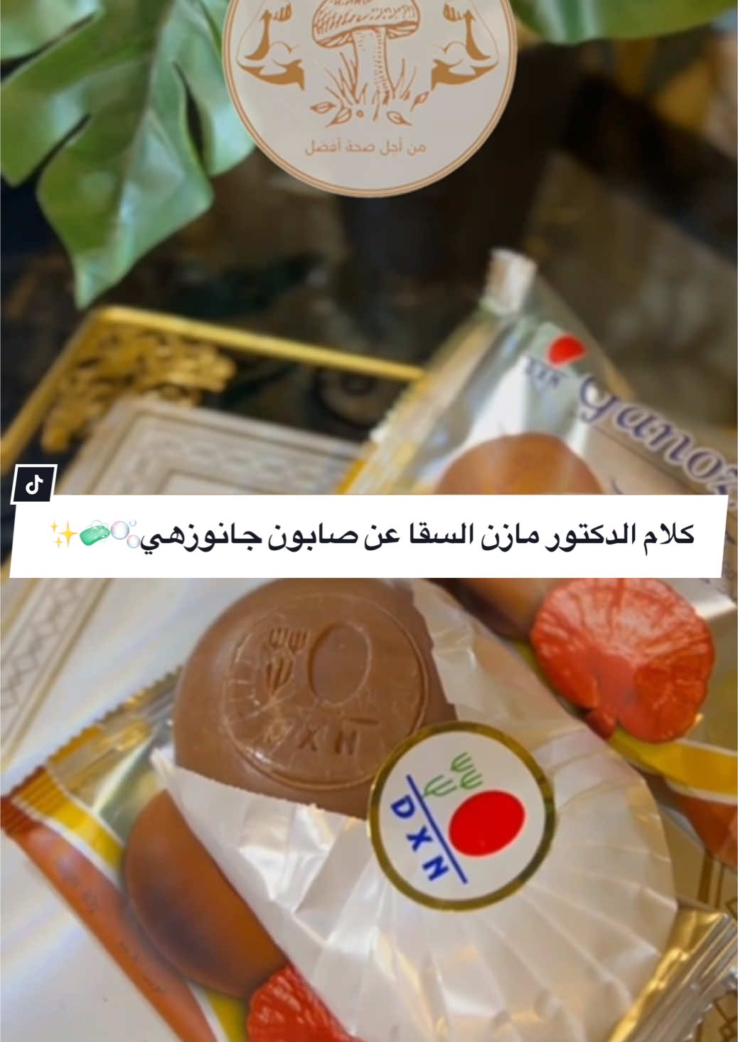 مقشر البابايا🧖🏻‍♀️🧖🏻‍♂️✨
‌‎للطلب راسلني على الخاص 📨 
‌‎تابعنا للتعرف على فوائد منتجاتنا🔍  .  .  .   #دي_اكس_ان #دي_اكس_ان_الماليزية #من_أجل_صحة_أفضل #من_أجل_صحة_أفضل #عضوي  #عضوي #فطر #فطر_ريشي #قلوي #اكسبلور #إكسبلورر #لايك #فولو   #مرض #oops_alhamdulelah #ماليزيا #ماليزيا🇲🇾  #ف #fyp #لك #من_أجلك_الصفحة #الش #الشعب_الصيني_ماله_حل😂😂  #لايكات #لايك #صحة #عائلتي #صحة_عائلتك_أمانة  #f #fyp #foryou #foryoupage #fy #مالي_خلق_احط_هاشتاقات #مالي_خلق_احط_هاشتاقات🧢  #fypシ゚ #صابون #صابون_جانوزي #صابون_عضوي #صابون_جانوزي_الطبيعي #صابون_طبيعي #صابون_طبيعي_للبشرة #تيك_توك_عرب #f #fyp #foryou #foryoupage #fy 