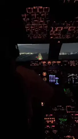 How did a pilot stop a hijacker while landing #aviation #aviationlovers #aviationdaily #aviationlife #aviationtiktok #aviationgeek #planes #plane #pilot #pilots #flight