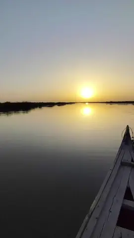 شاهد أجواء هور الحمار وصيد السمج والطير أجواء خيالية #يونس_العبودي #اجواء_الجنوب #اجواء_خيالية #الجبايش #صيد_اليوم #اهوار_الچبايش 