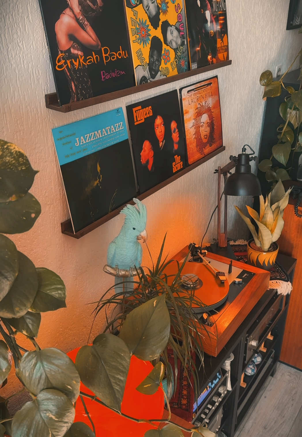 Back to the 90s with this masterpiece…‘Ready or Not’ still hits every time.  ⏪📼🔥✨ - - - - #thefugees #readyornot #hiphop #hiphopmusic #hiphopvinyl #musicroom #music #indoorjungle #vintagestyle #audioroom #turntable #hifi #nowspinning #vibe #musicvideo #aestheticvideos #90smusic #hiphoprecords #laurynhill #vinyl #vinylcollection #vinylcollector #vinyljunkie #recordcollection #vintageroom #vintagehifi #listeningtorecords #listeningroom #listeningtomusic #fy #fyp #foryou #foryoupage #voorjou #voorjoupagina #vinylindays 